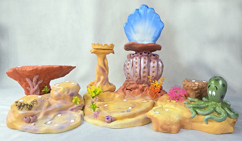 Under the Sea